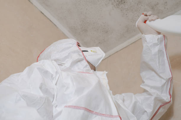 Best Preventive Mold Services in Canaan, CT